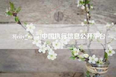 松原中国执行信息公开平台