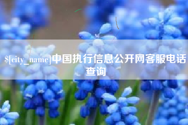 松原中国执行信息公开网客服电话查询