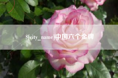 松原中国六个金牌