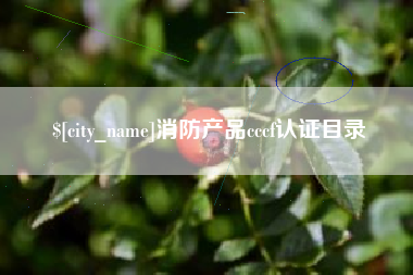松原消防产品cccf认证目录