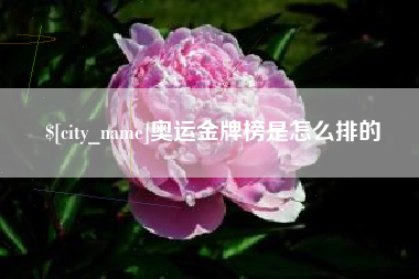 松原奥运金牌榜是怎么排的