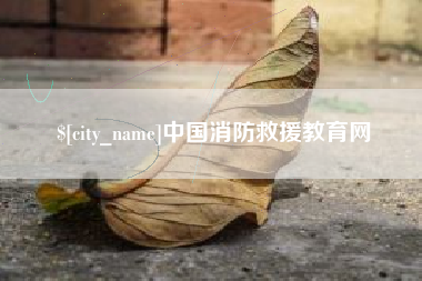 松原中国消防救援教育网