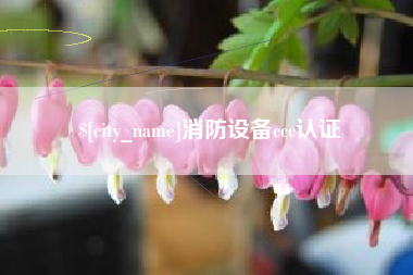 松原消防设备ccc认证