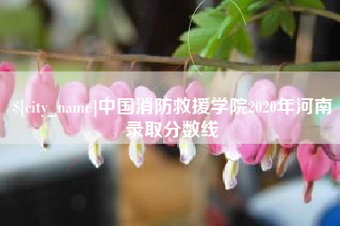 松原中国消防救援学院2020年河南录取分数线