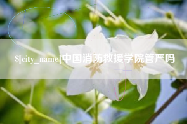 松原中国消防救援学院管严吗