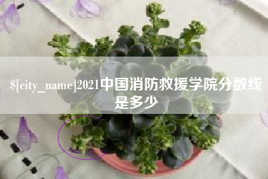 松原2021中国消防救援学院分数线是多少