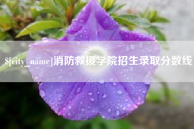 松原消防救援学院招生录取分数线
