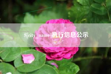 松原执行信息公示