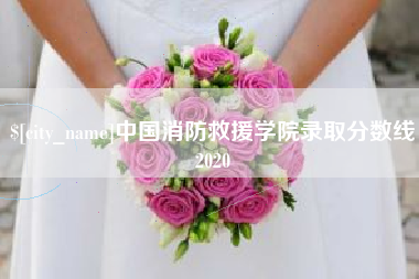 松原中国消防救援学院录取分数线2020