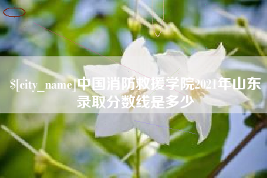 松原中国消防救援学院2021年山东录取分数线是多少
