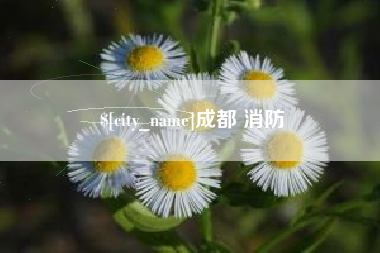 松原成都 消防
