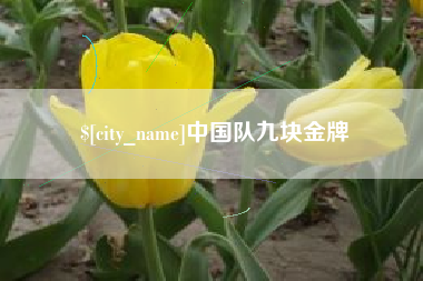 松原中国队九块金牌