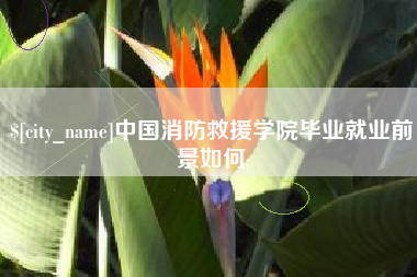 松原中国消防救援学院毕业就业前景如何