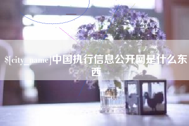 松原中国执行信息公开网是什么东西