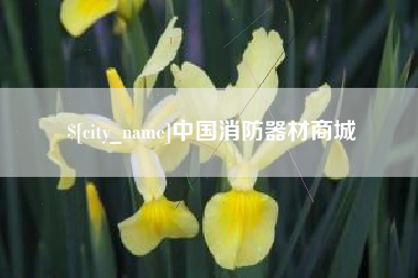 松原中国消防器材商城