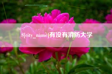 松原有没有消防大学