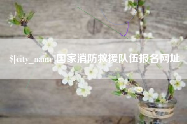 松原国家消防救援队伍报名网址