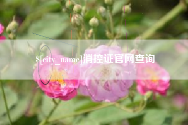 松原消控证官网查询