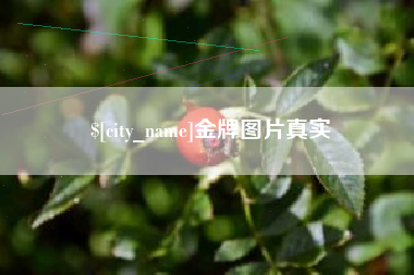 松原金牌图片真实