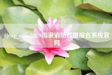 松原2020国家消防救援报名系统官网