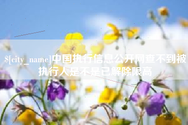 松原中国执行信息公开网查不到被执行人是不是已解除限高