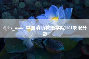 松原中国消防救援学院2021录取分数