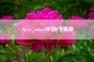 松原中国9个金牌