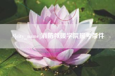 松原消防救援学院报考条件