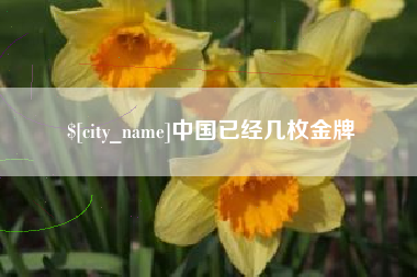 松原中国已经几枚金牌