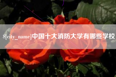 松原中国十大消防大学有哪些学校