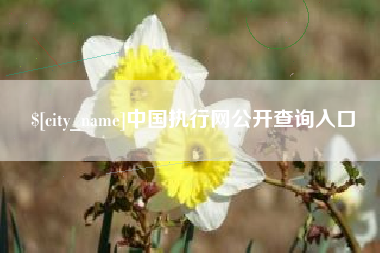 松原中国执行网公开查询入口