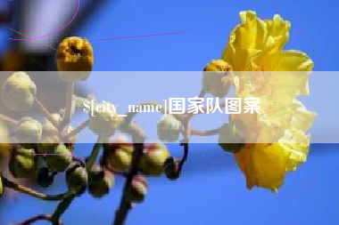 松原国家队图案