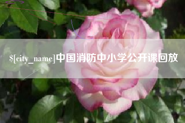 松原中国消防中小学公开课回放