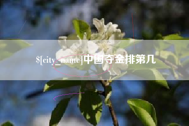 松原中国夺金排第几