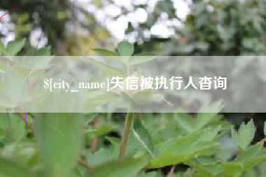 松原失信被执行人杳询
