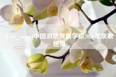 松原中国消防救援学院2020年录取结果