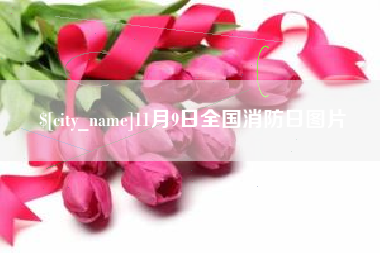 松原11月9日全国消防日图片