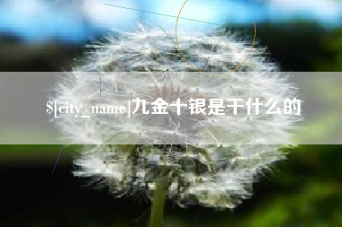 松原九金十银是干什么的