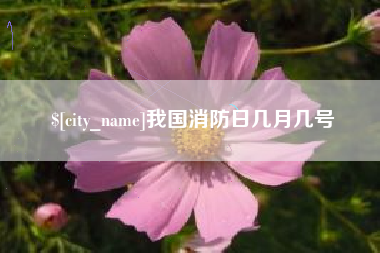 松原我国消防日几月几号