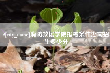 松原消防救援学院报考条件湖南招生多少分