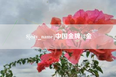 松原中国金牌18金