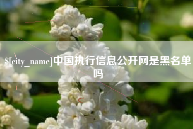 松原中国执行信息公开网是黑名单吗
