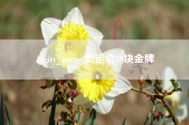 松原奥运会39块金牌