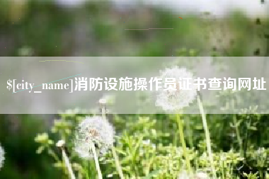 松原消防设施操作员证书查询网址