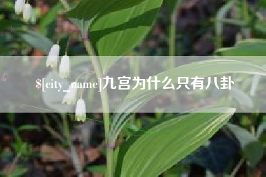 松原九宫为什么只有八卦
