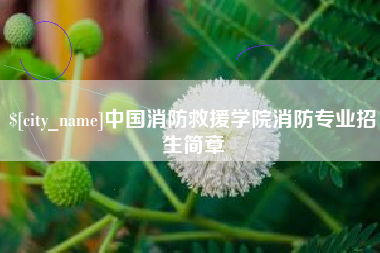 松原中国消防救援学院消防专业招生简章