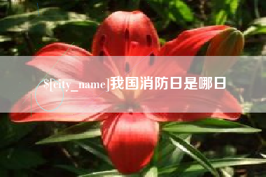 松原我国消防日是哪日