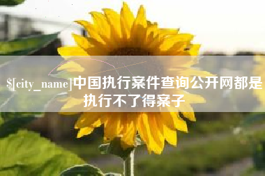 松原中国执行案件查询公开网都是执行不了得案子