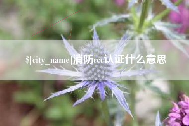 松原消防ccc认证什么意思