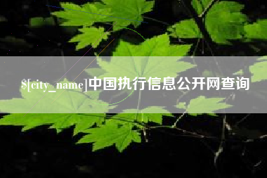 松原中国执行信息公开网查询